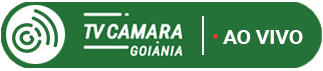 TV Câmara: ao vivo