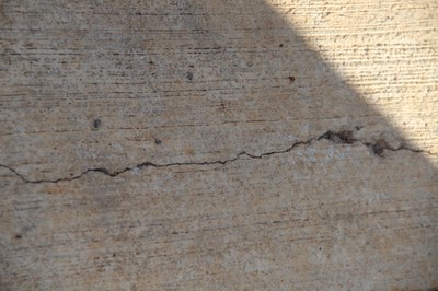 Foto Francisco Carvalho (73).JPG