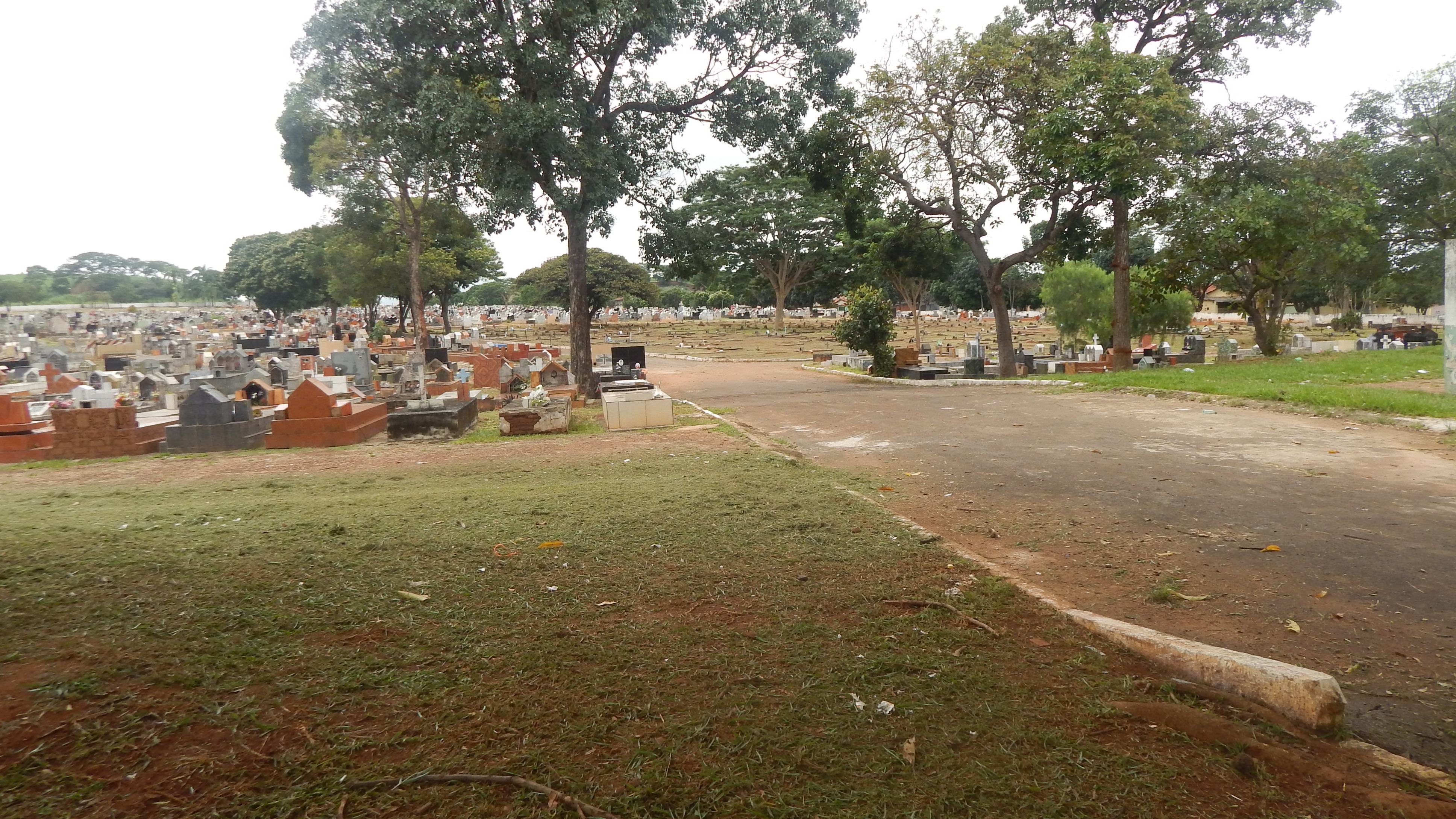 Foto Antonio Silva (63).JPG