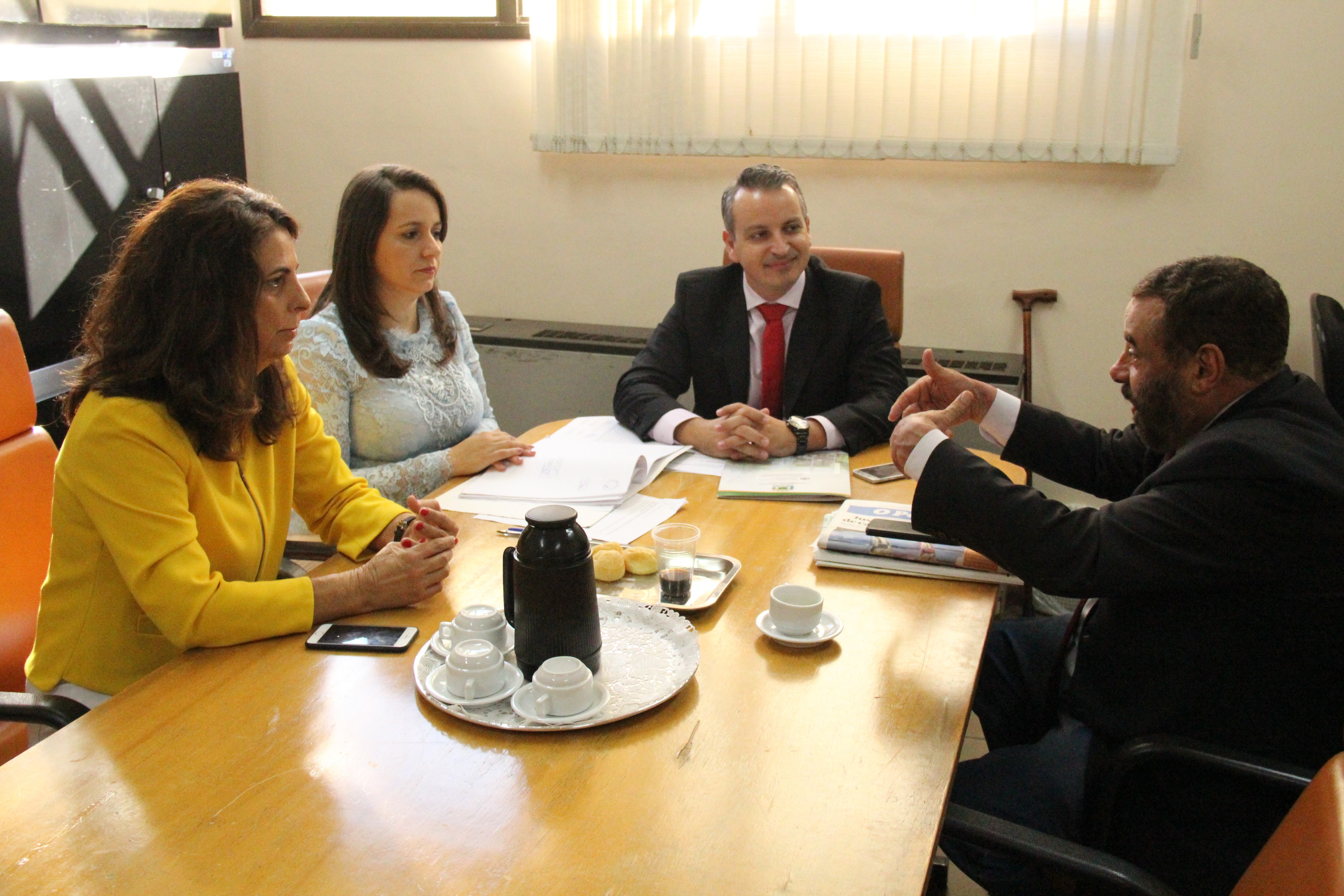 Comissão do meio ambiente (13).JPG