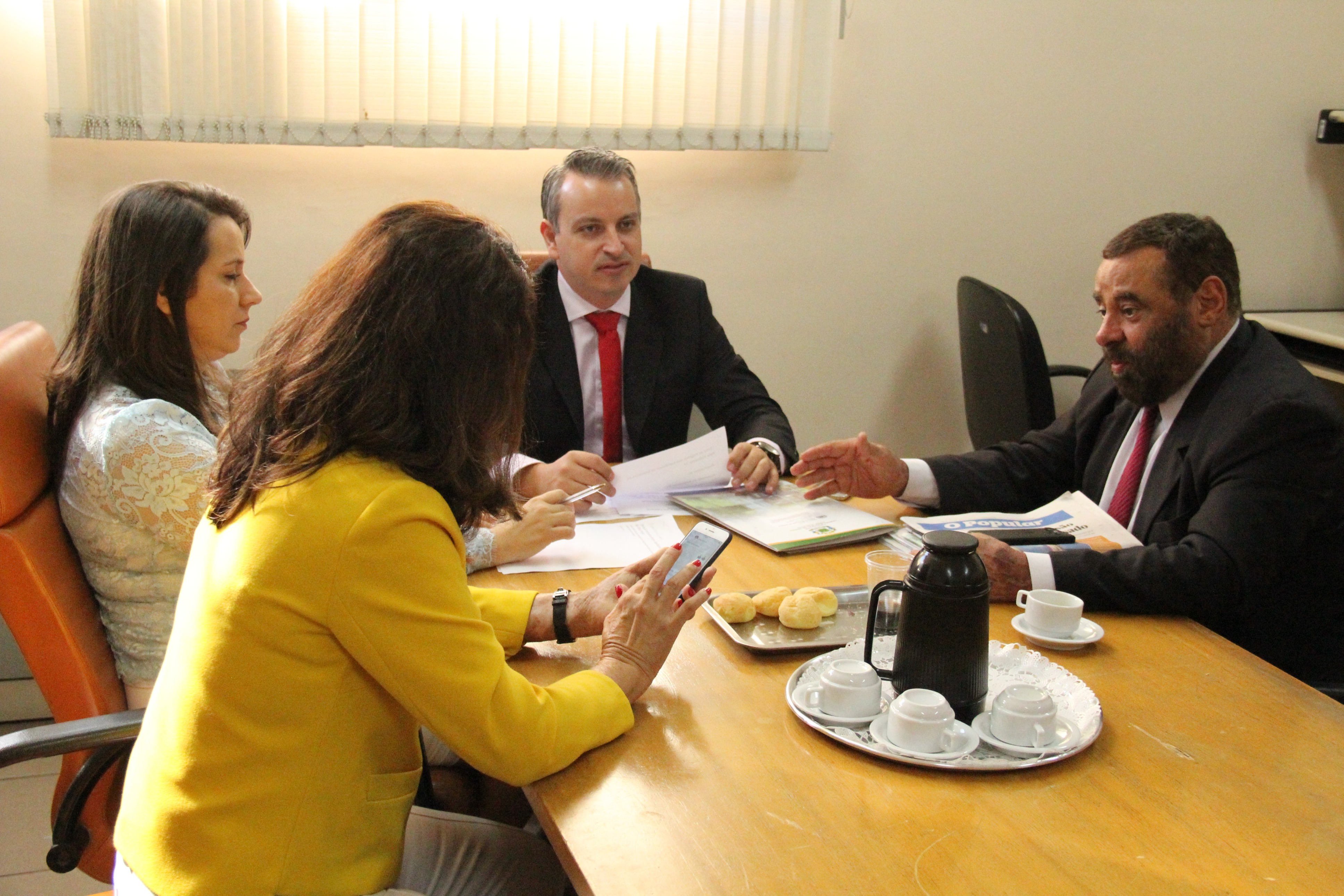 Comissão do meio ambiente (23).JPG