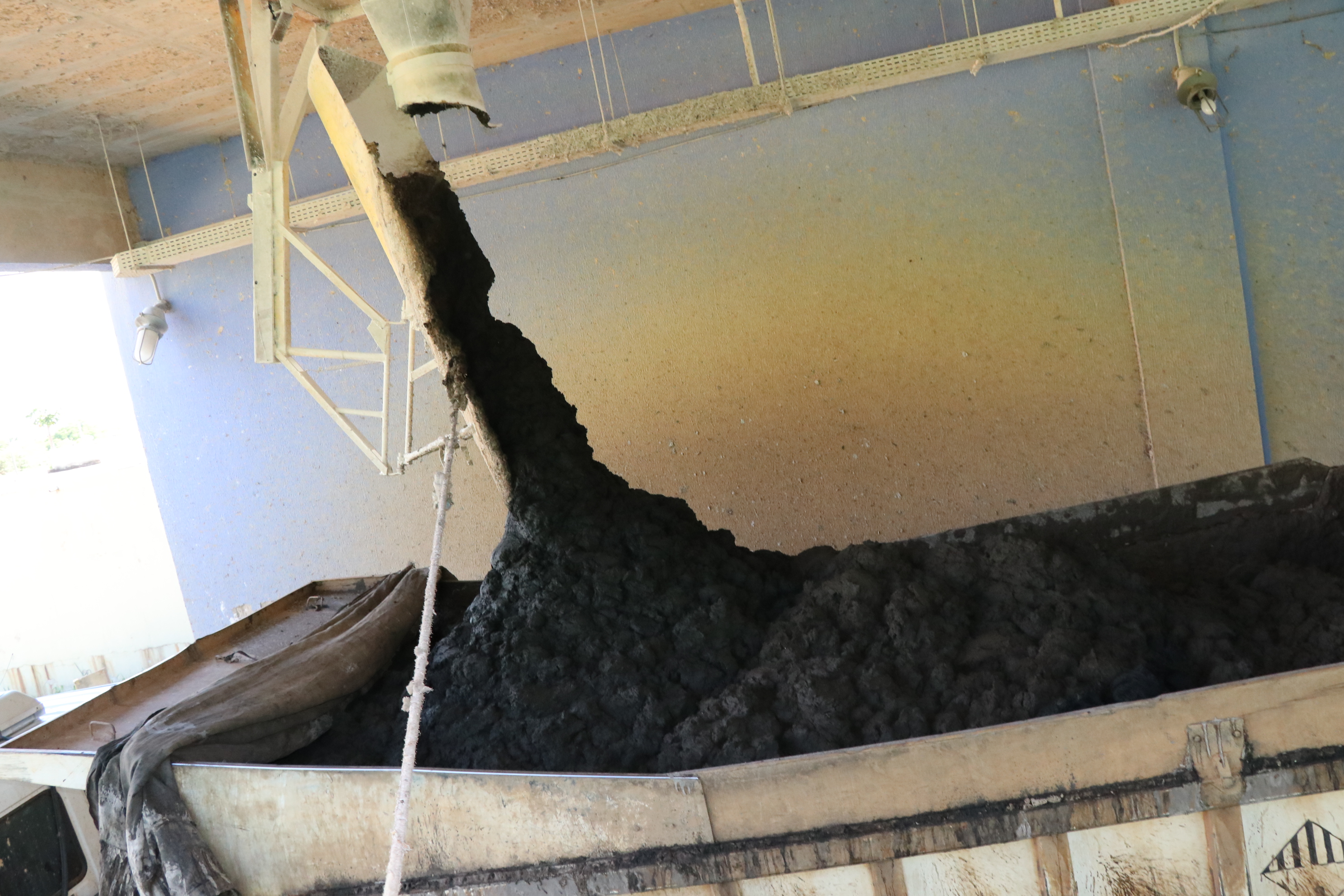 Foto Francisco Carvalho (171).JPG