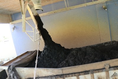 Foto Francisco Carvalho (171).JPG