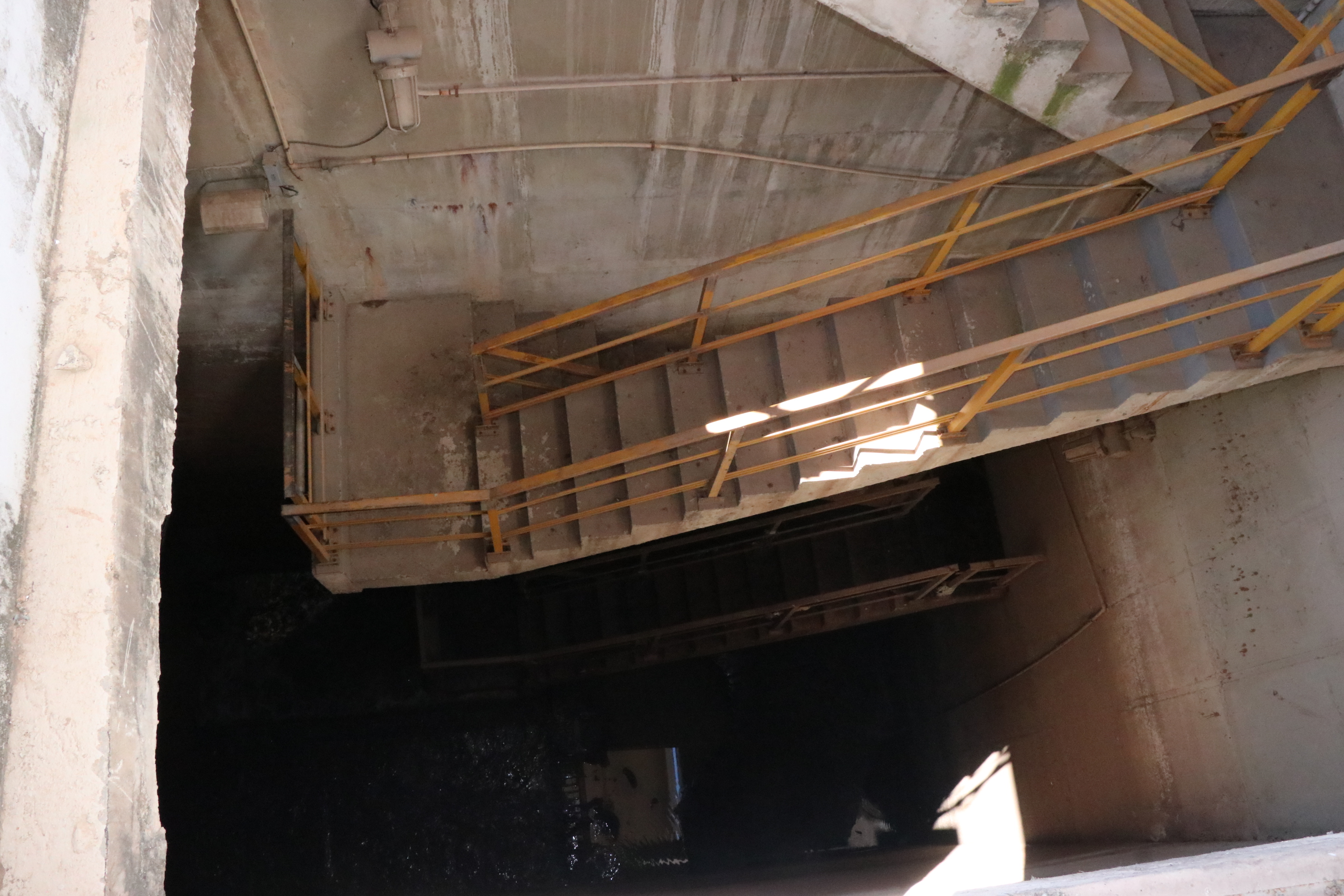 Foto Francisco Carvalho (90).JPG