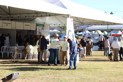 Foto Eduardo Nogueira (91).JPG