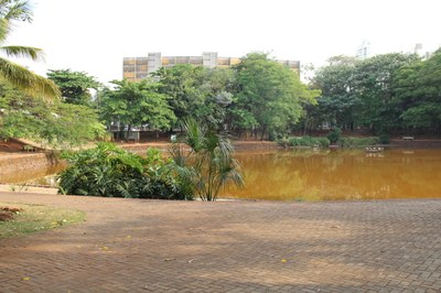 BOSQUE BURITIS em 2017 (Foto Marcelo do Vale).JPG