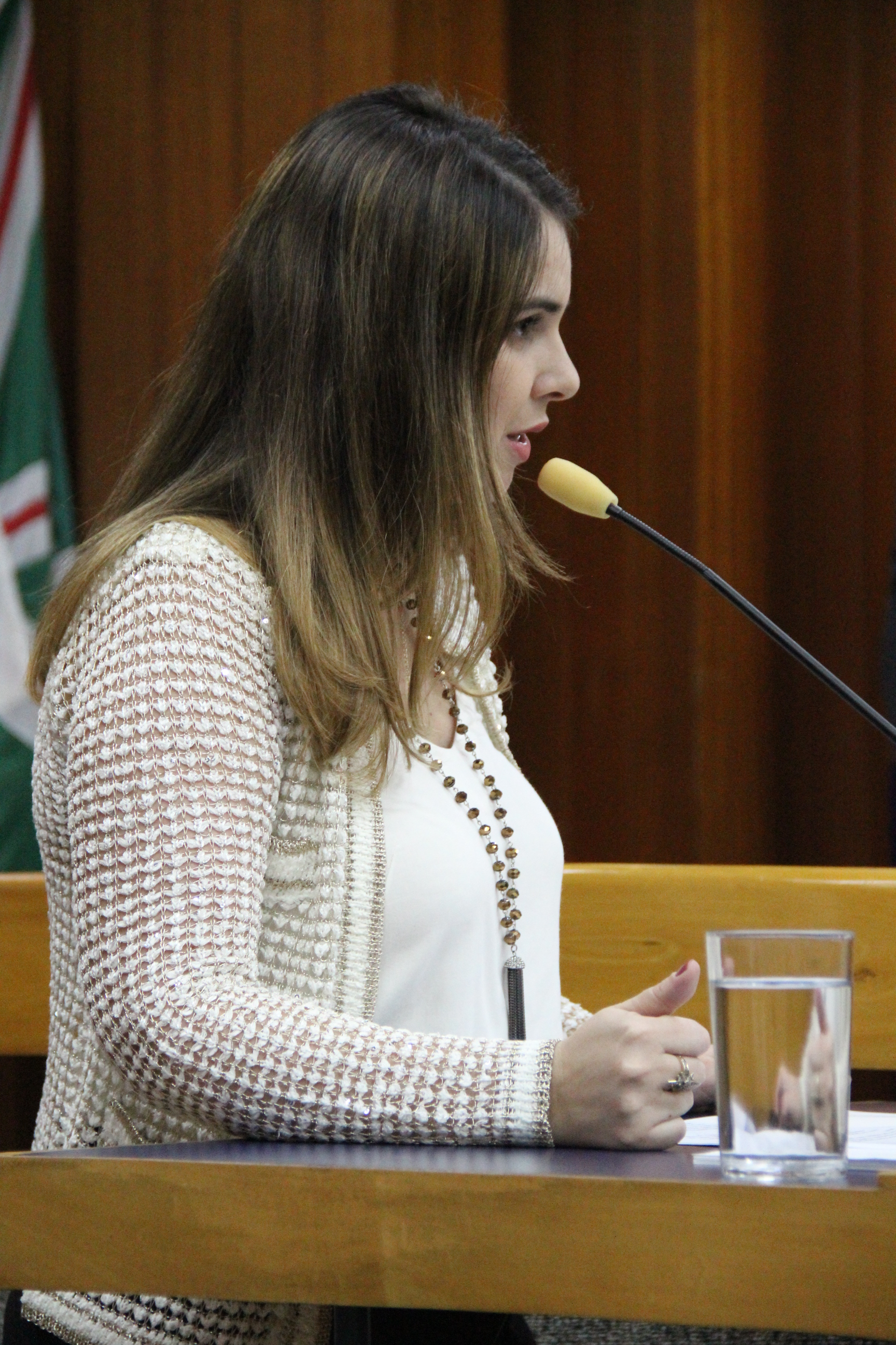 Fotos Wictória Jhefany (43).JPG