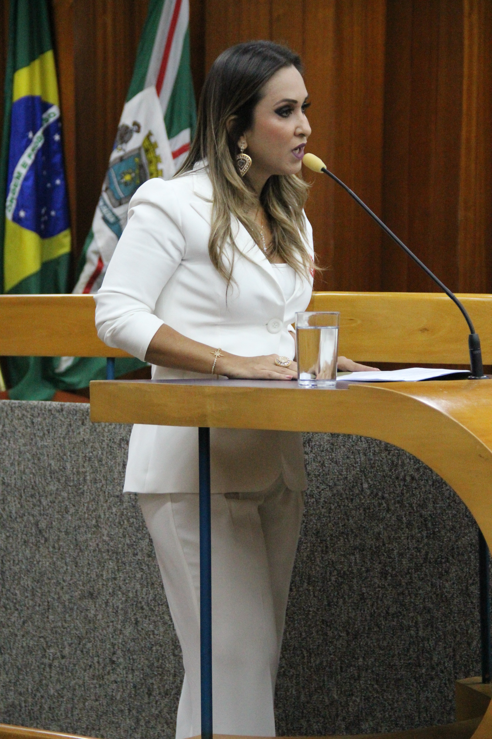 Fotos Wictória Jhefany (86).JPG