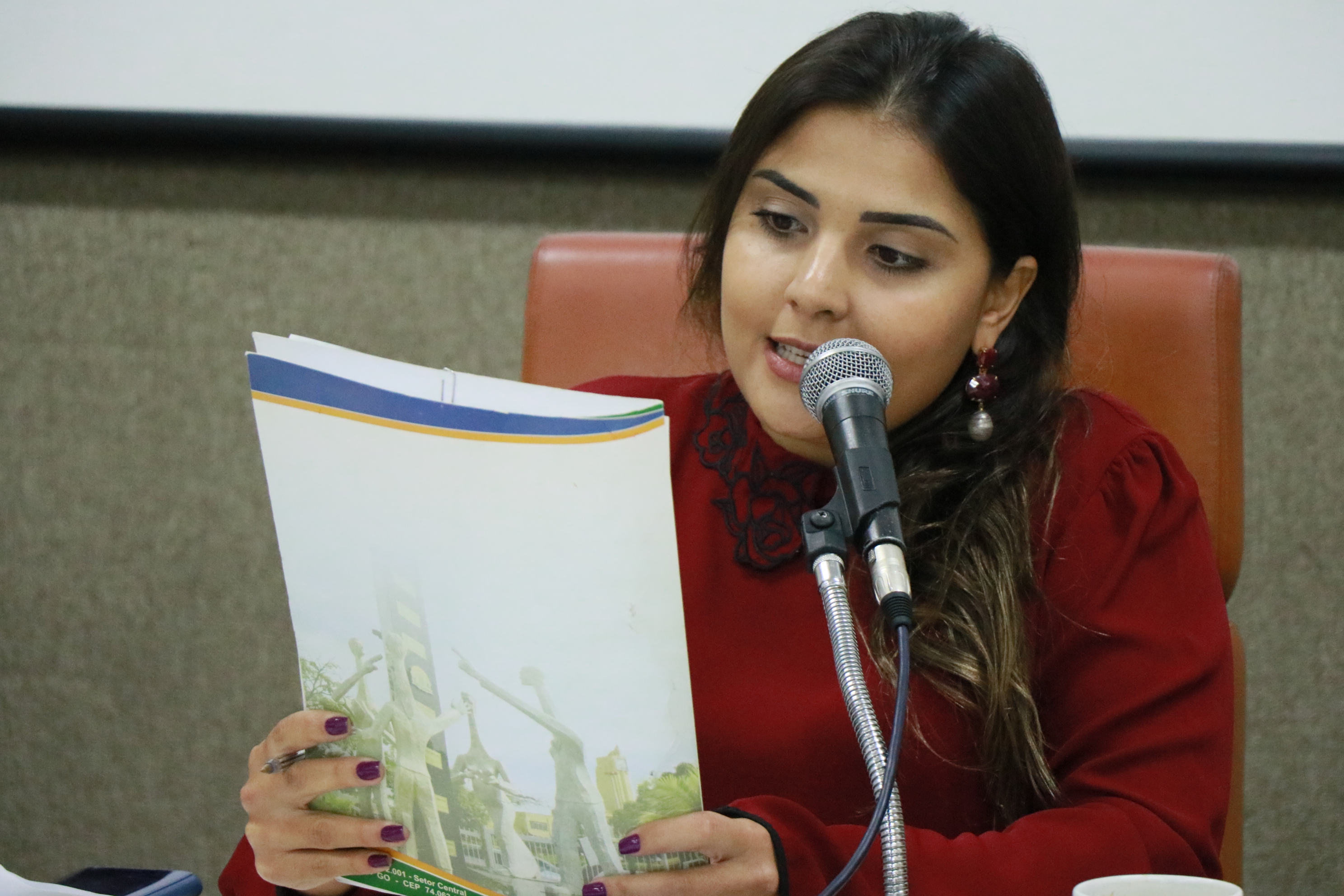 Fotos Wictória Jhefany (9).JPG