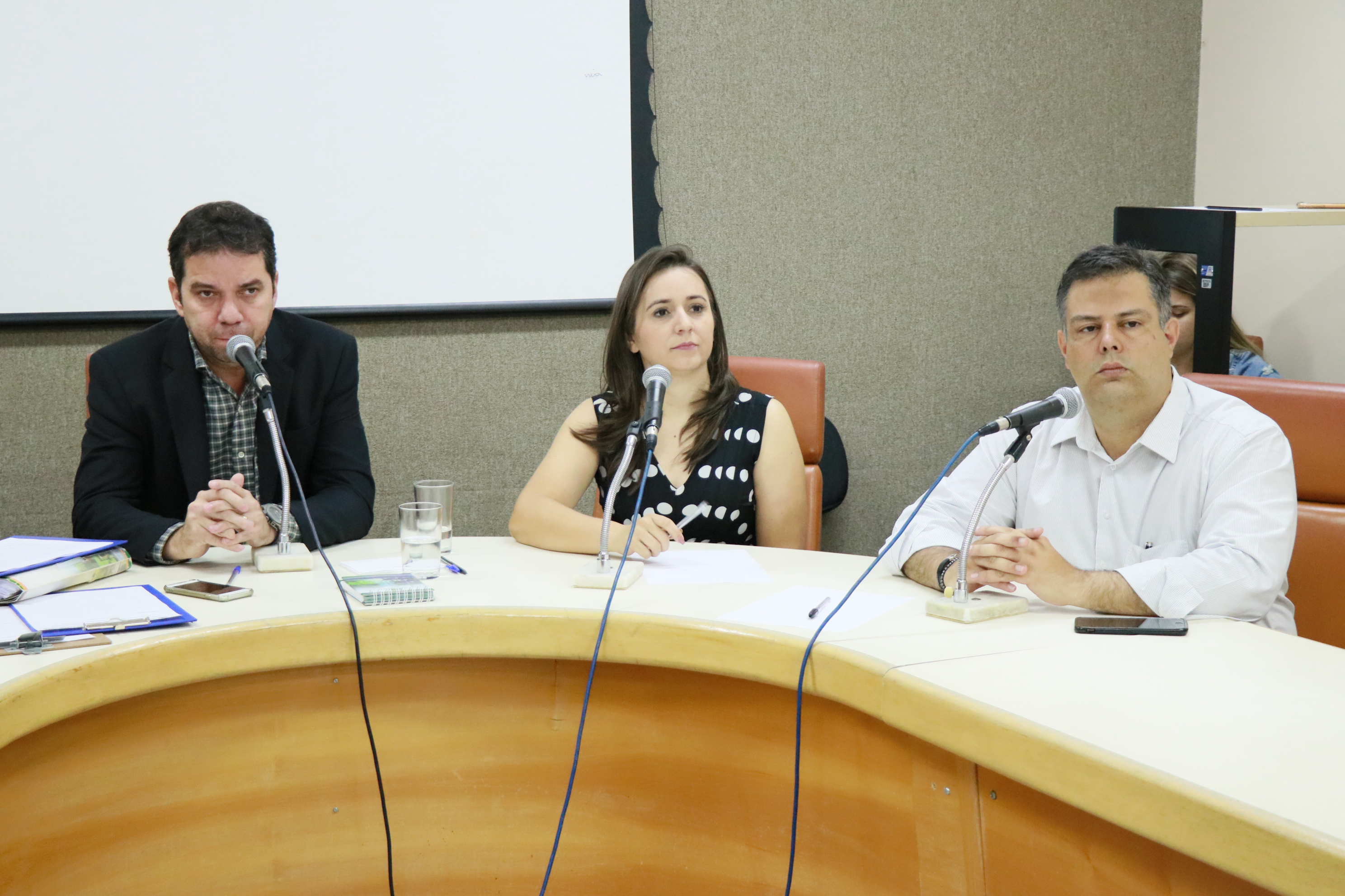 Fotos Wictória Jhefany (3).JPG