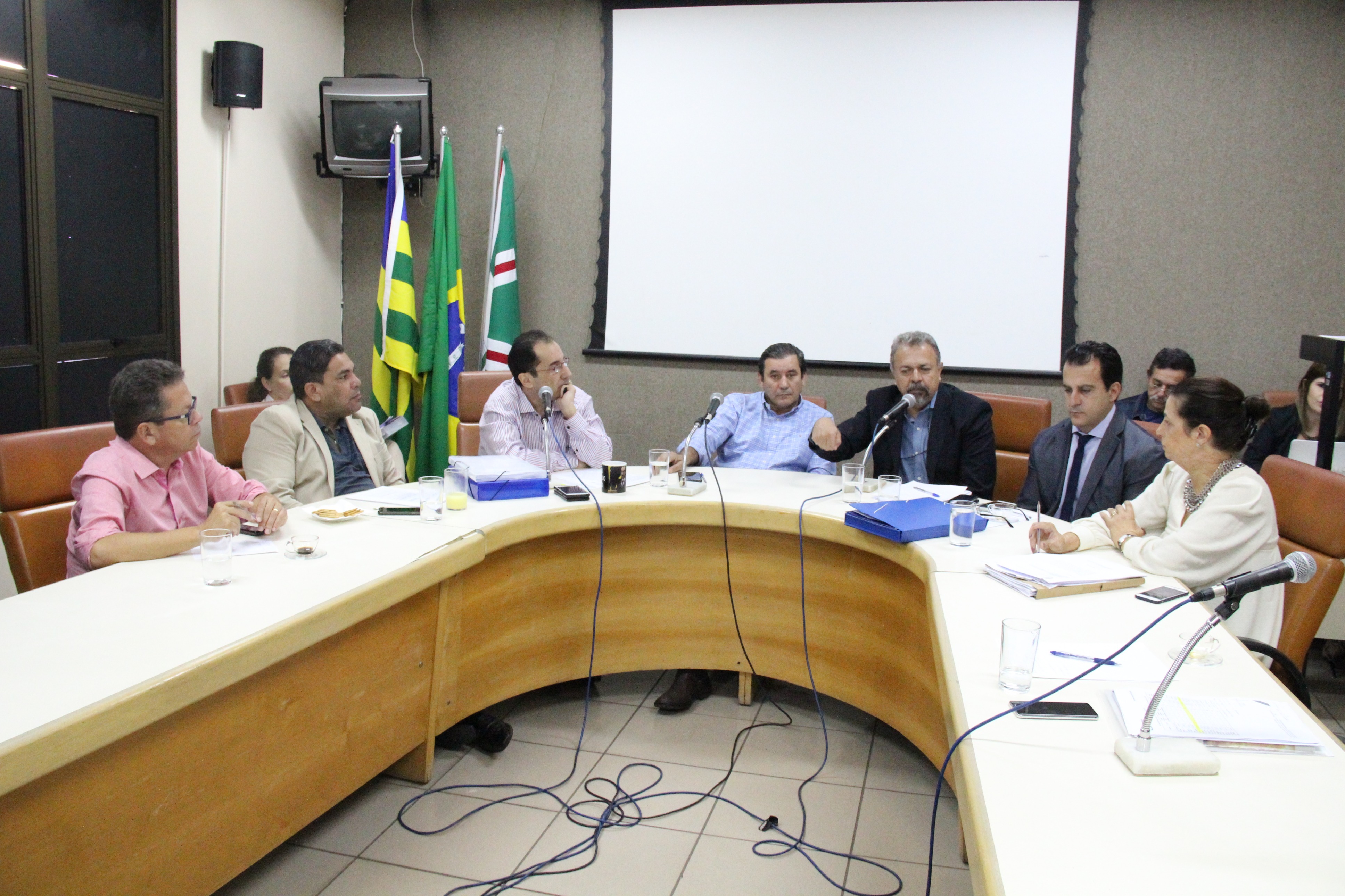 Fotos Wictória Jhefany (27).JPG