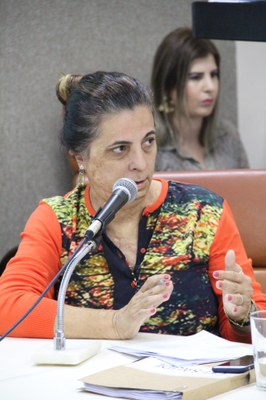 Fotos Wictória Jhefany (41).JPG