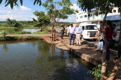 Foto Francisco Carvalho (102).JPG