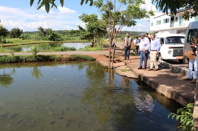 Foto Francisco Carvalho (104).JPG