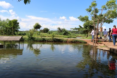 Foto Francisco Carvalho (106).JPG