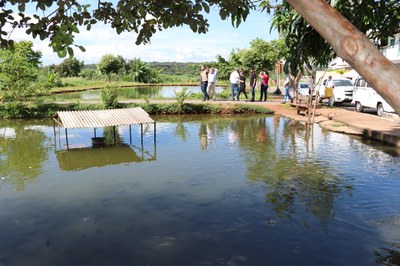 Foto Francisco Carvalho (108).JPG