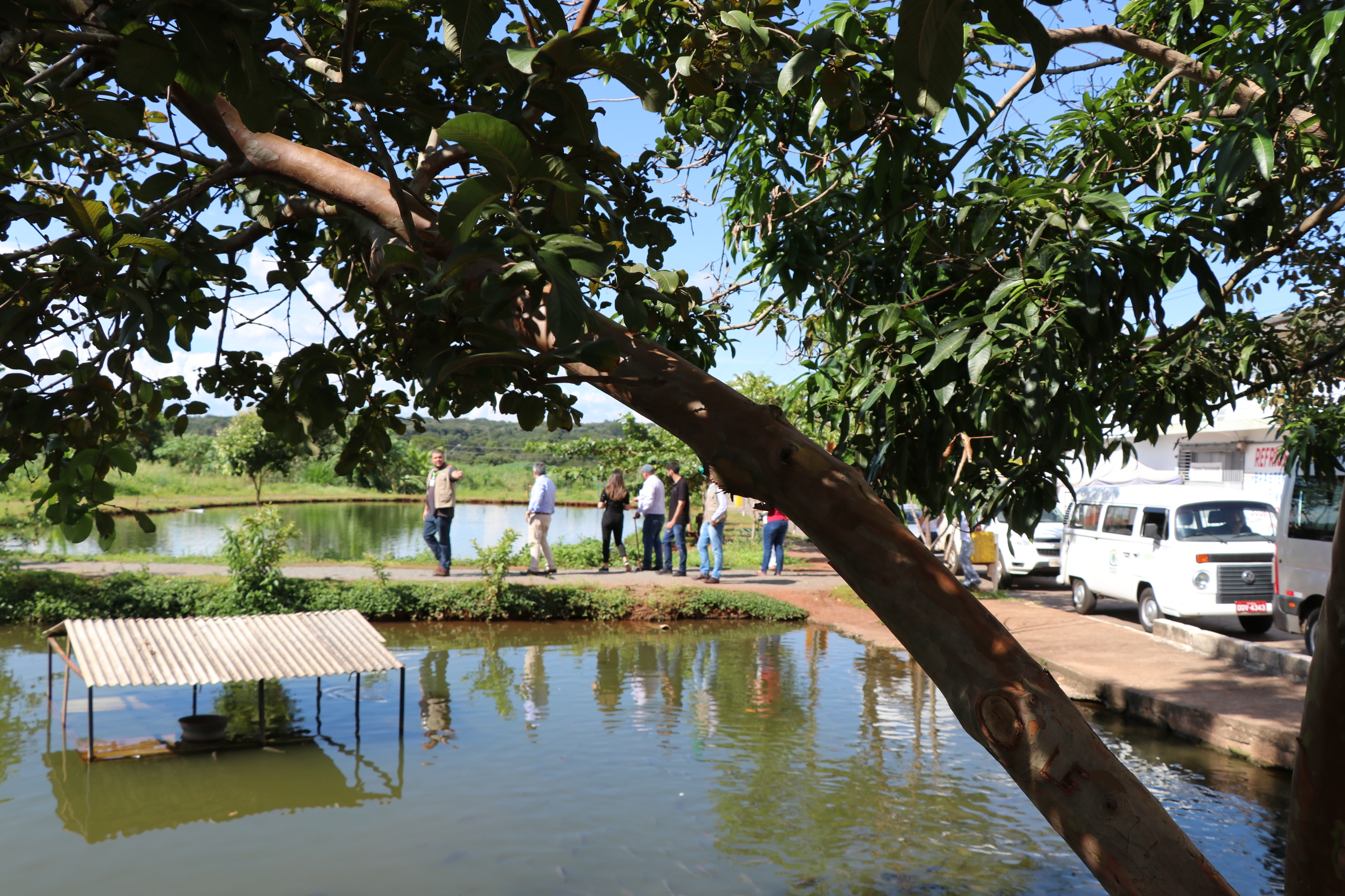 Foto Francisco Carvalho (109).JPG