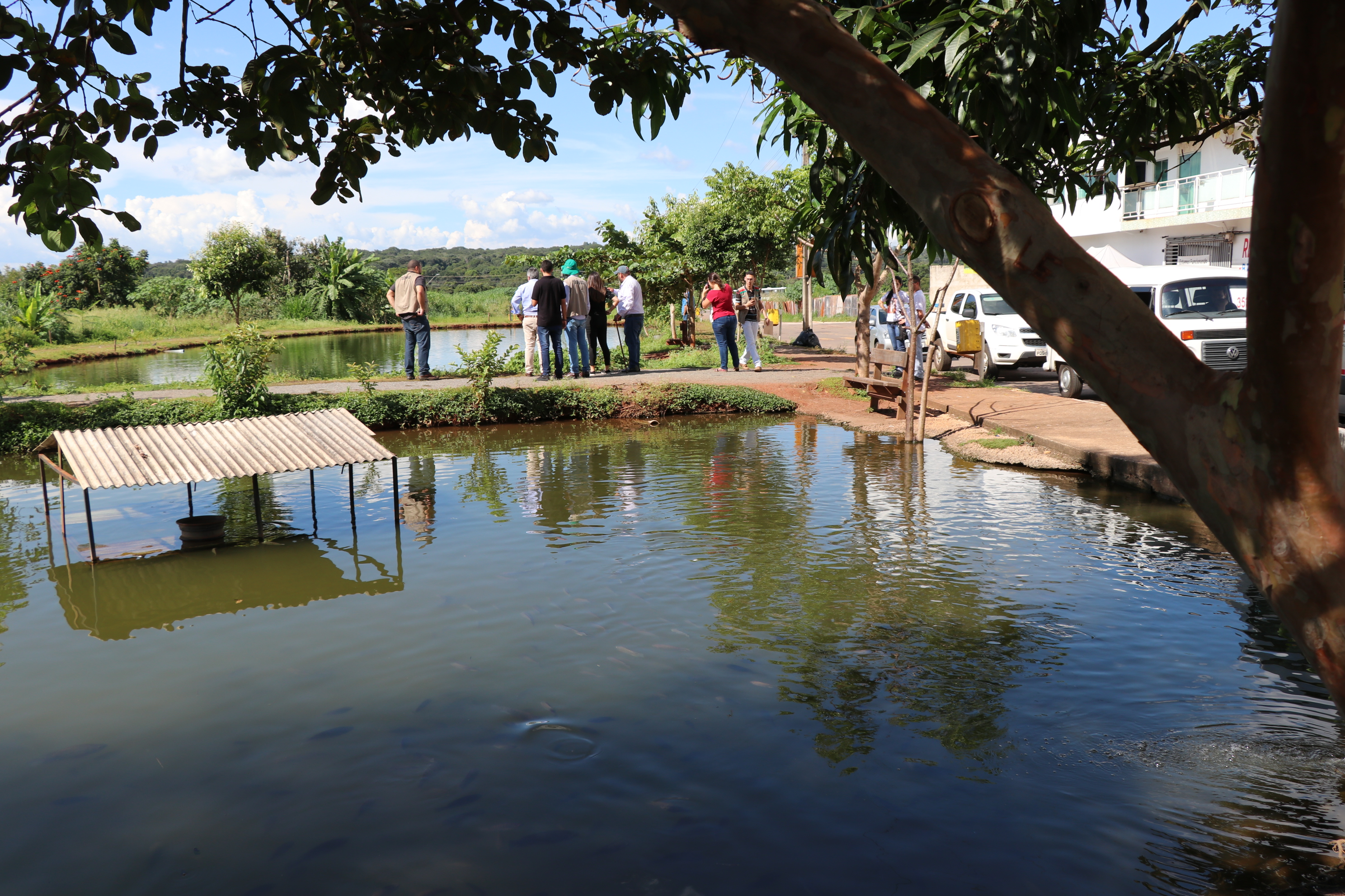 Foto Francisco Carvalho (110).JPG