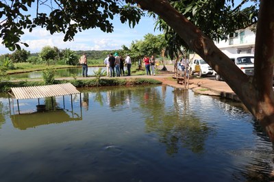 Foto Francisco Carvalho (110).JPG