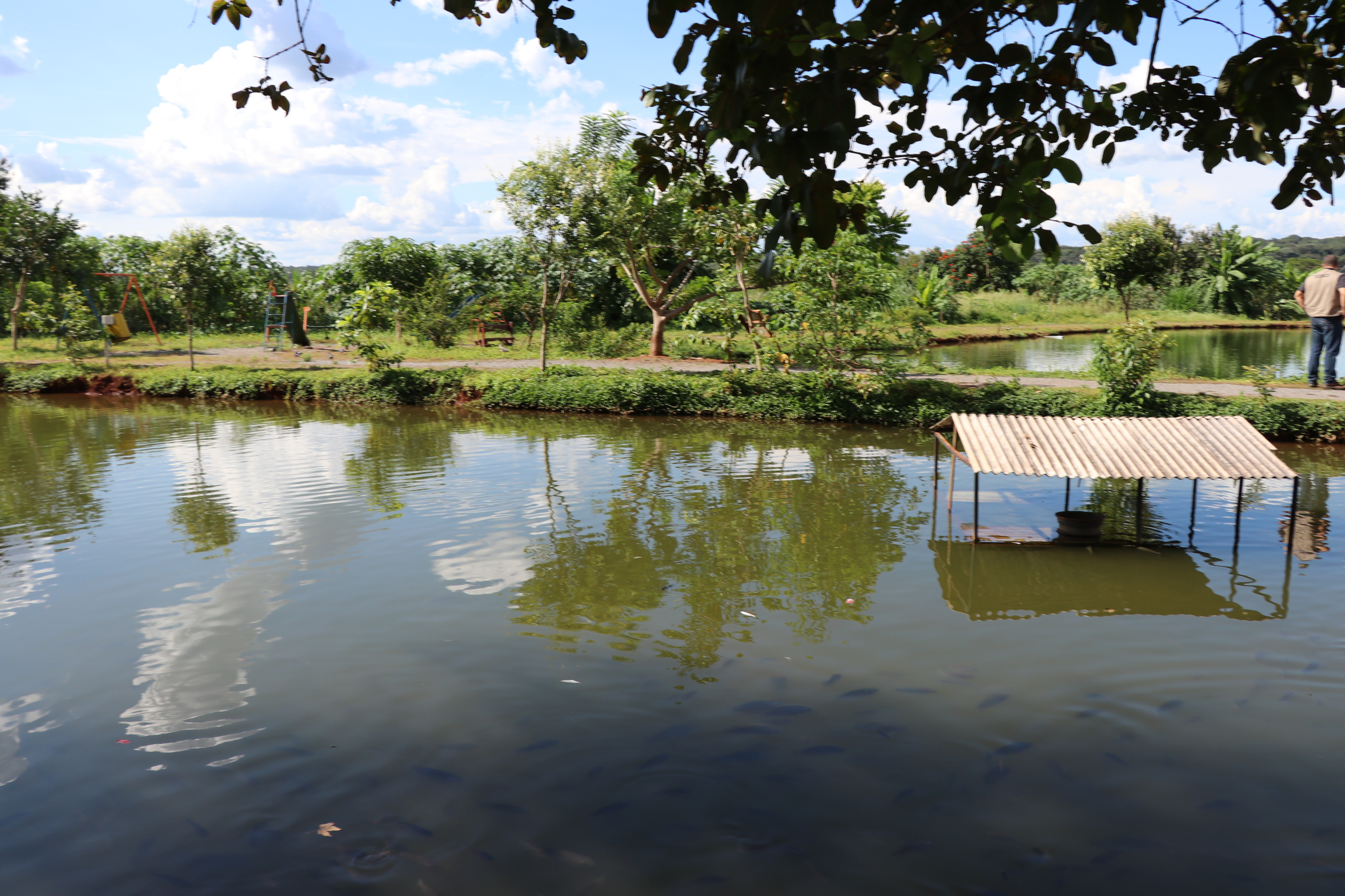 Foto Francisco Carvalho (113).JPG