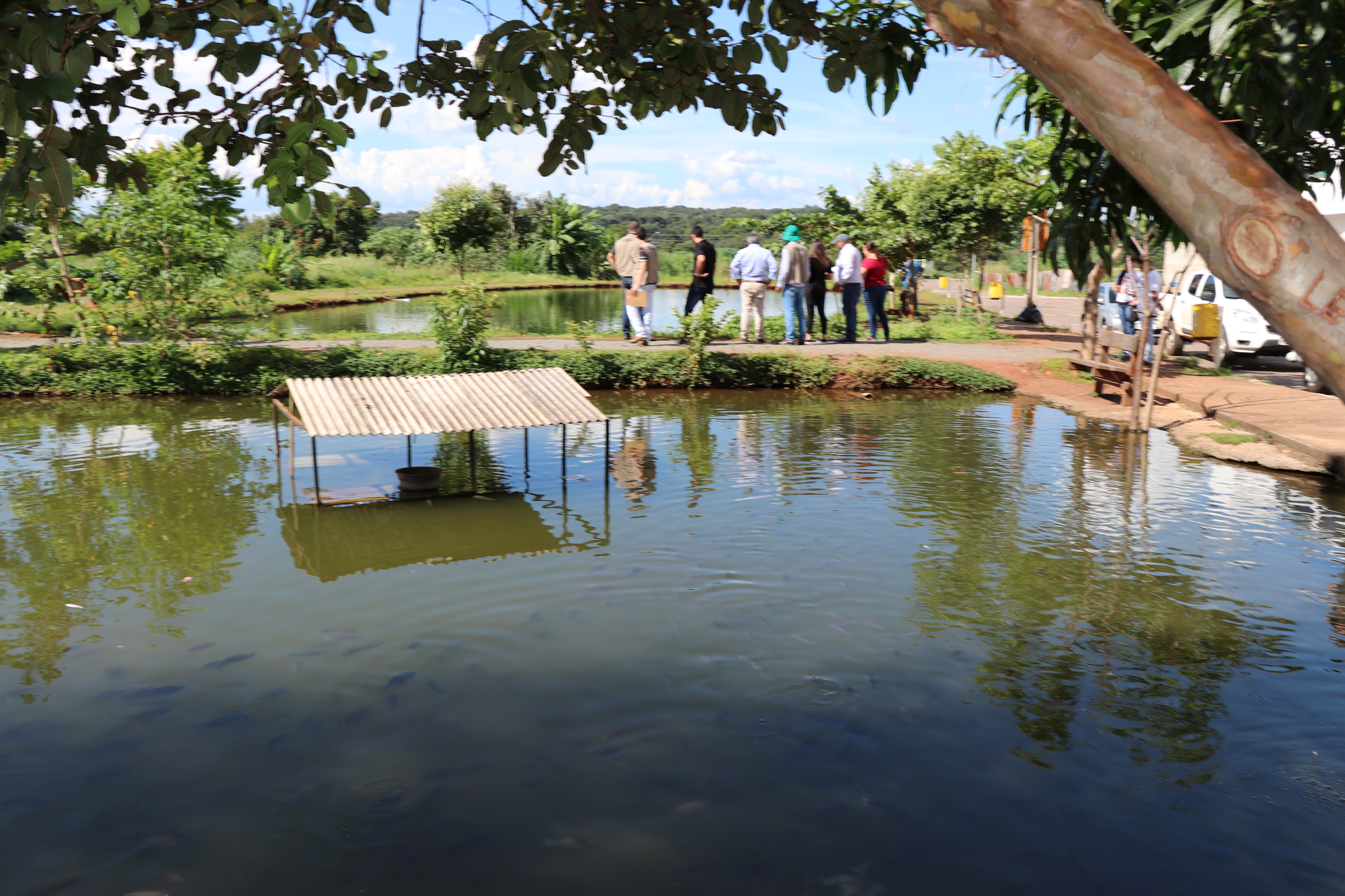 Foto Francisco Carvalho (114).JPG