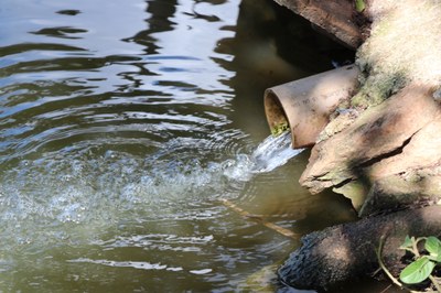 Foto Francisco Carvalho (115).JPG