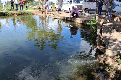 Foto Francisco Carvalho (116).JPG