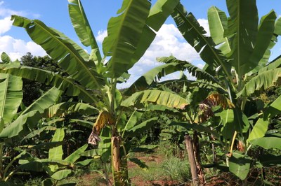 Foto Francisco Carvalho (12).JPG