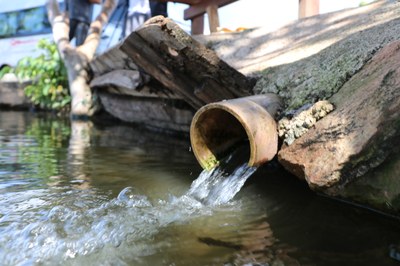 Foto Francisco Carvalho (120).JPG