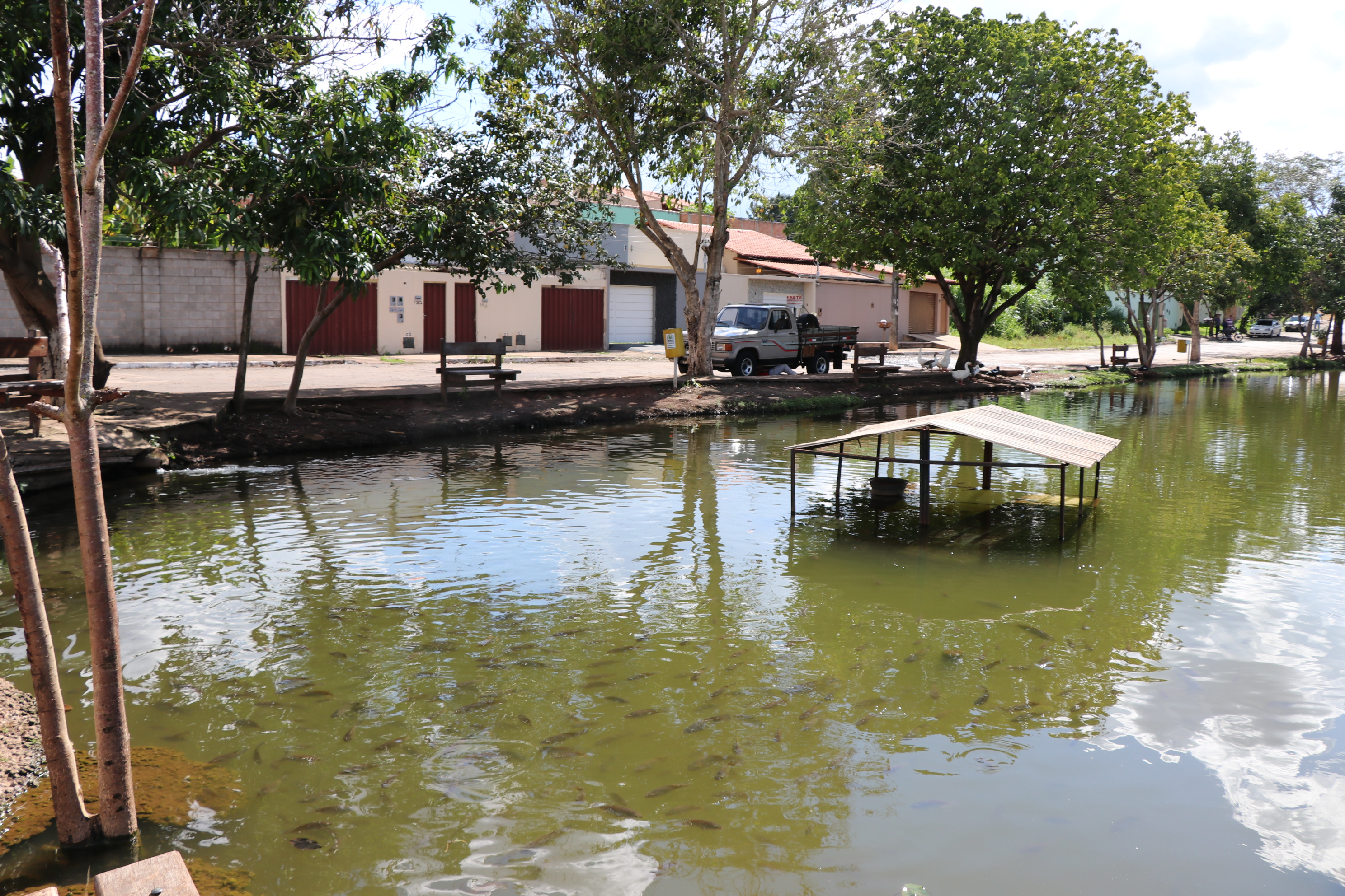 Foto Francisco Carvalho (121).JPG