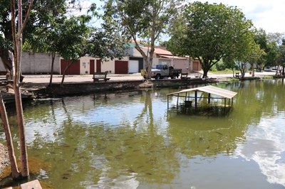 Foto Francisco Carvalho (121).JPG