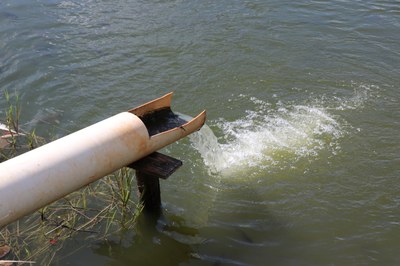 Foto Francisco Carvalho (123).JPG