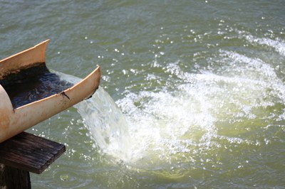 Foto Francisco Carvalho (124).JPG