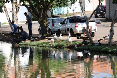 Foto Francisco Carvalho (141).JPG