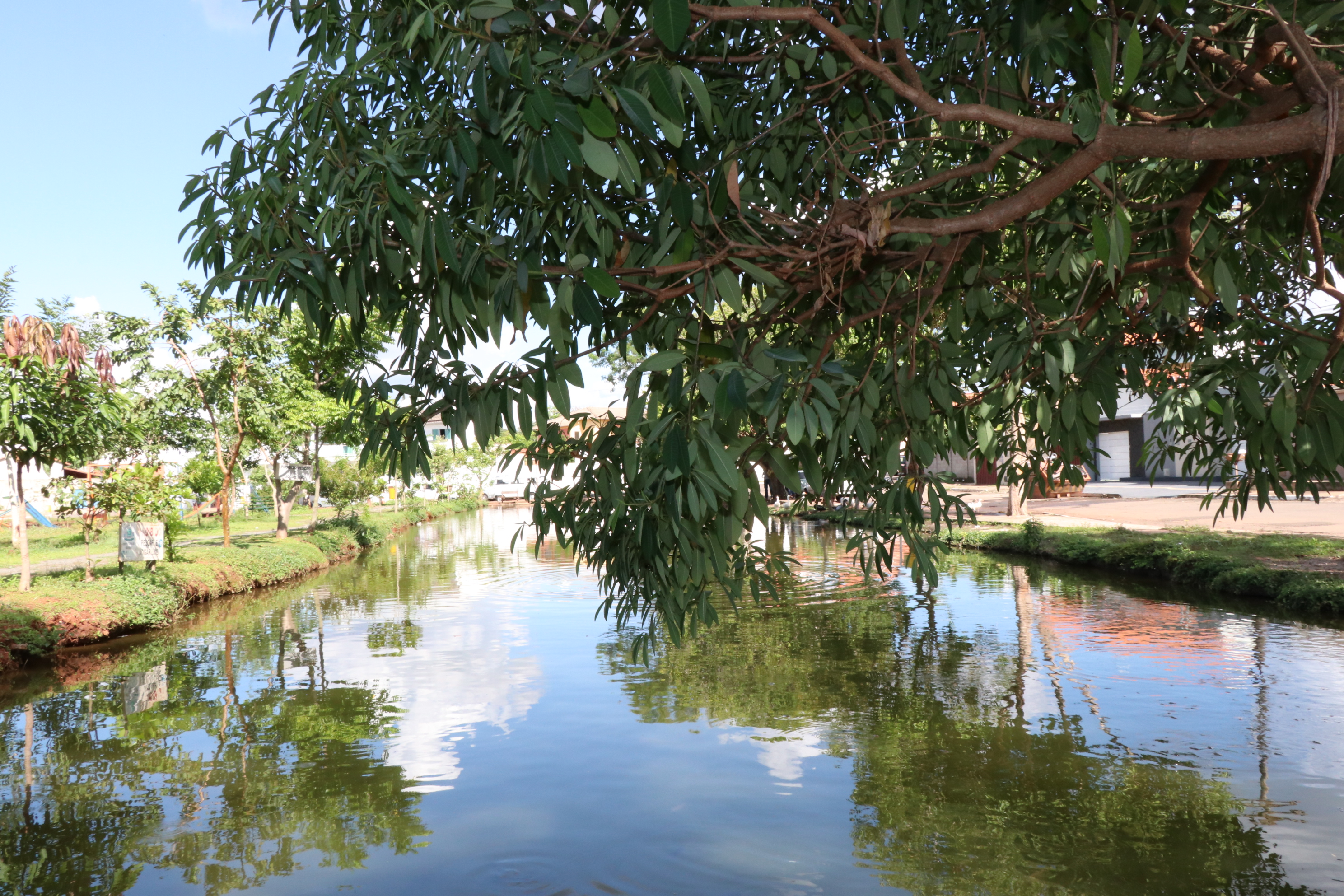 Foto Francisco Carvalho (143).JPG