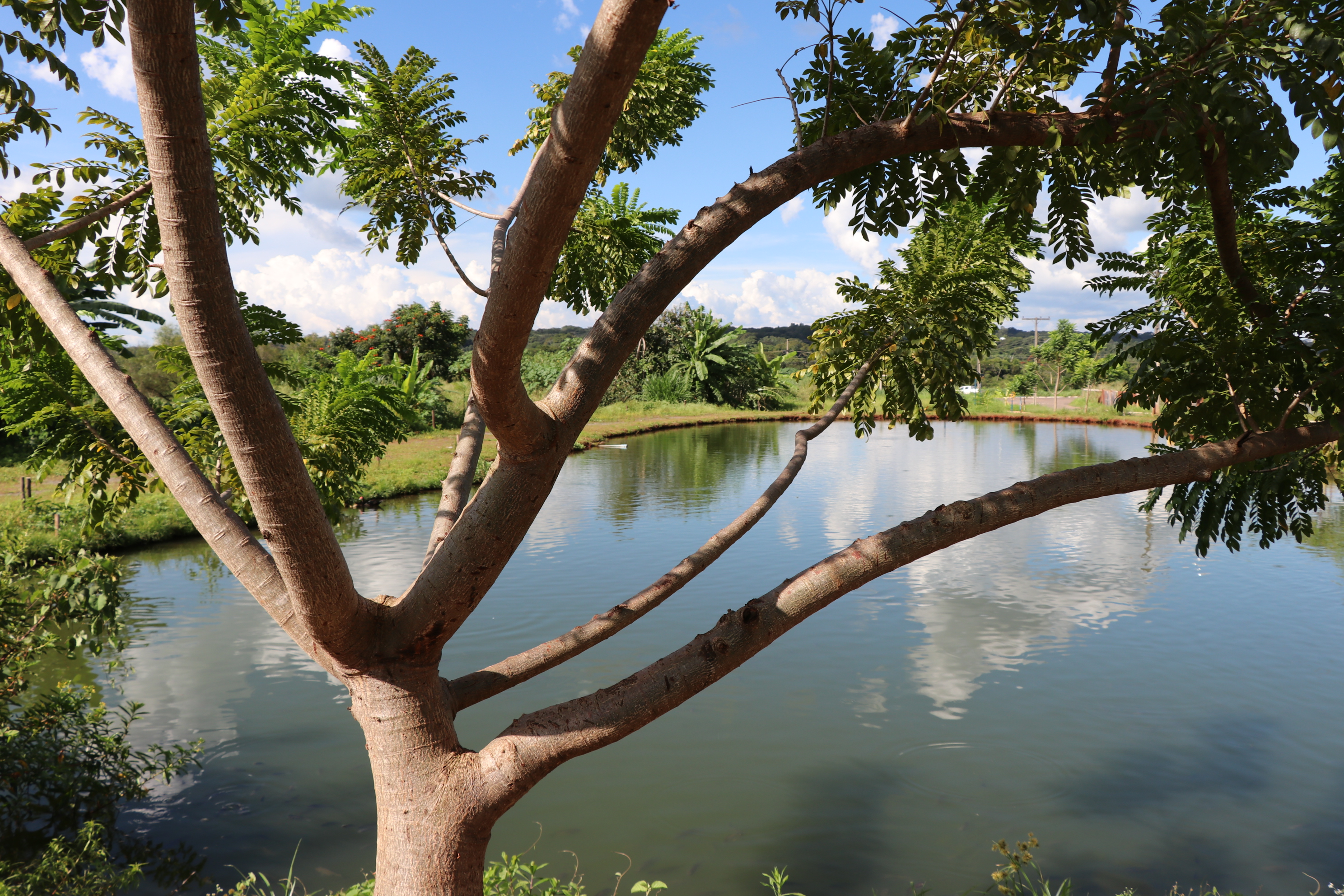 Foto Francisco Carvalho (151).JPG