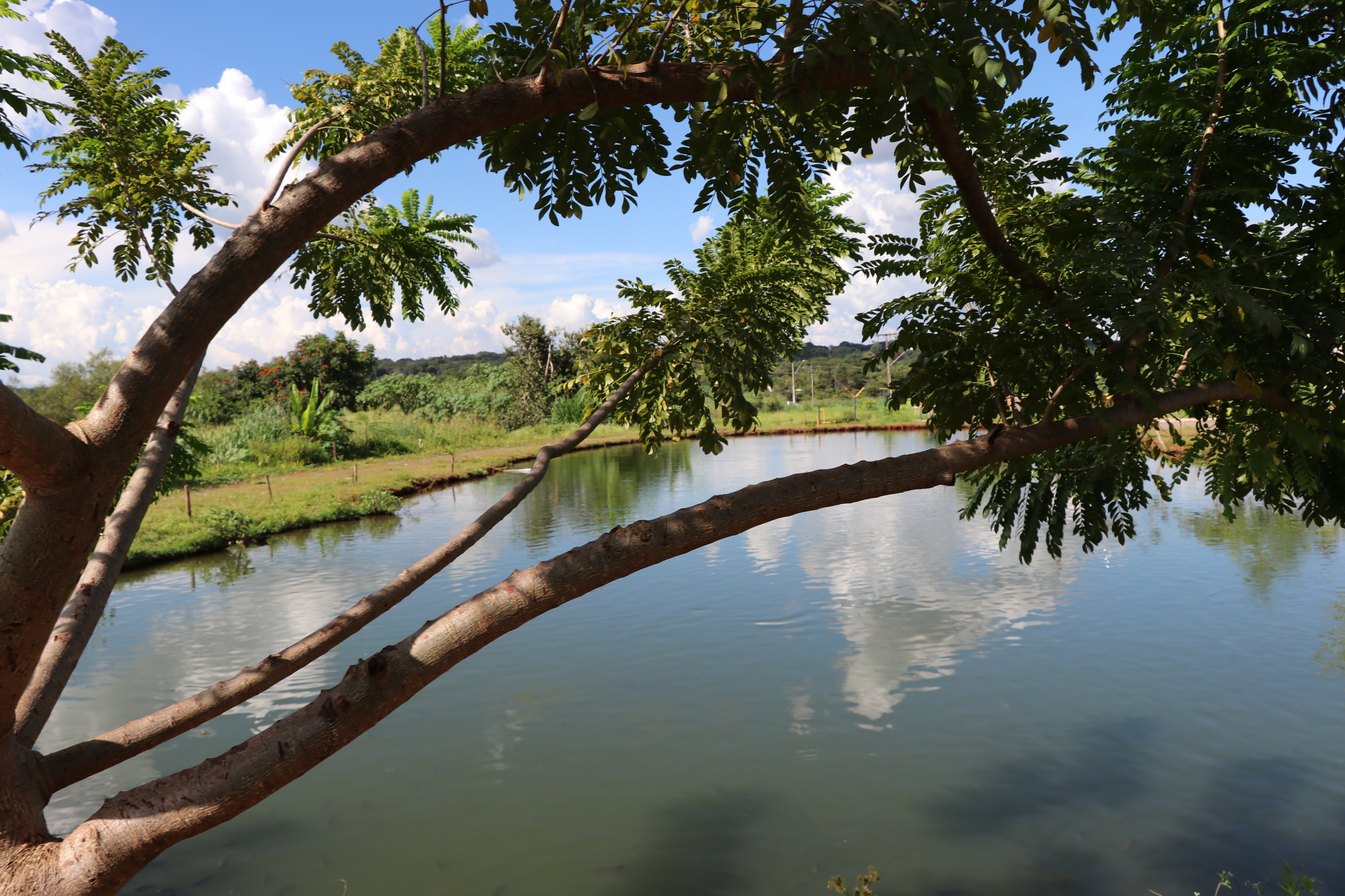 Foto Francisco Carvalho (152).JPG
