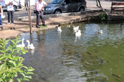 Foto Francisco Carvalho (158).JPG