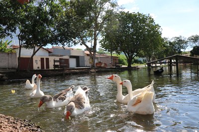 Foto Francisco Carvalho (159).JPG
