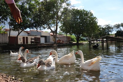 Foto Francisco Carvalho (160).JPG