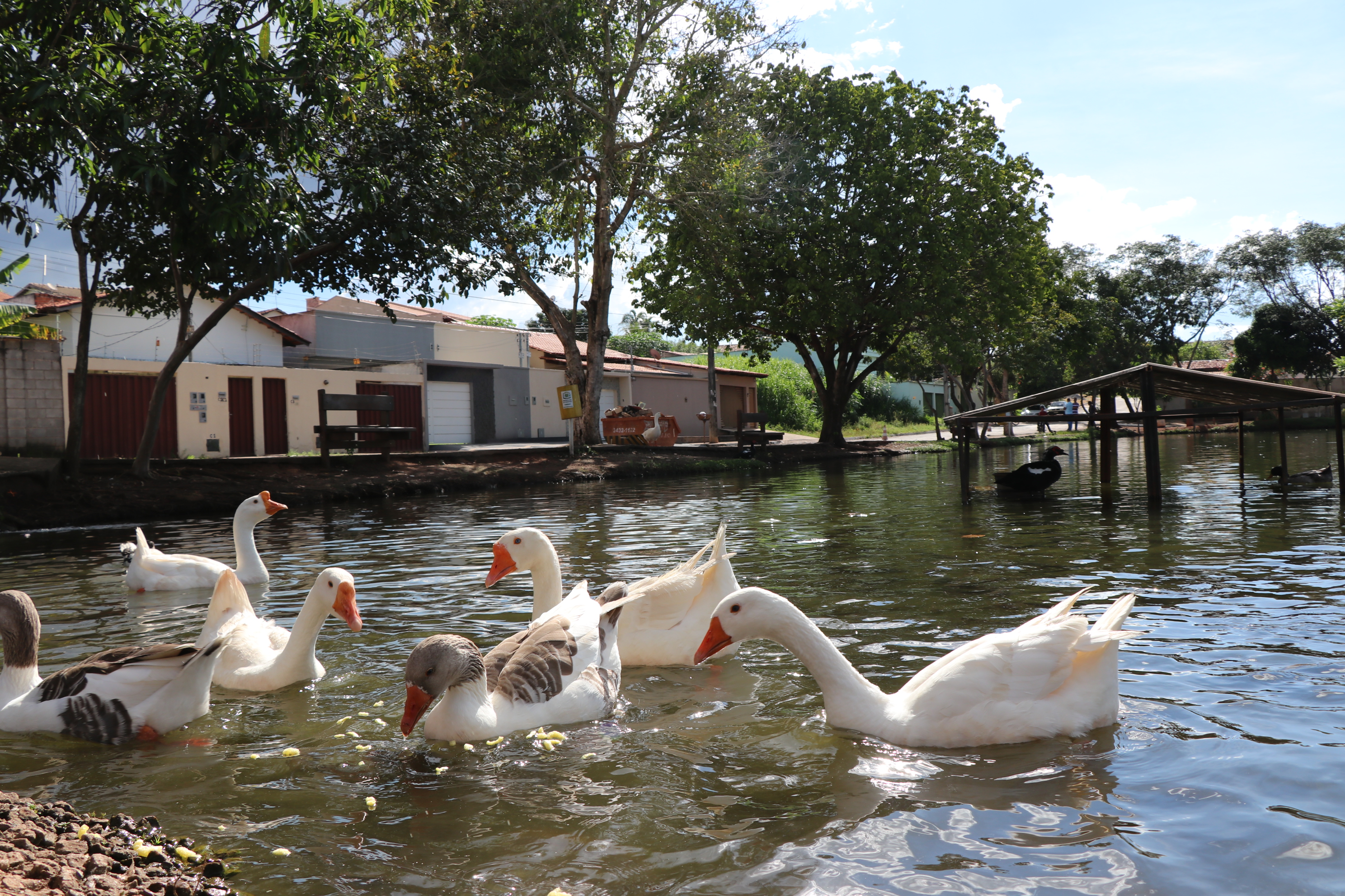 Foto Francisco Carvalho (161).JPG