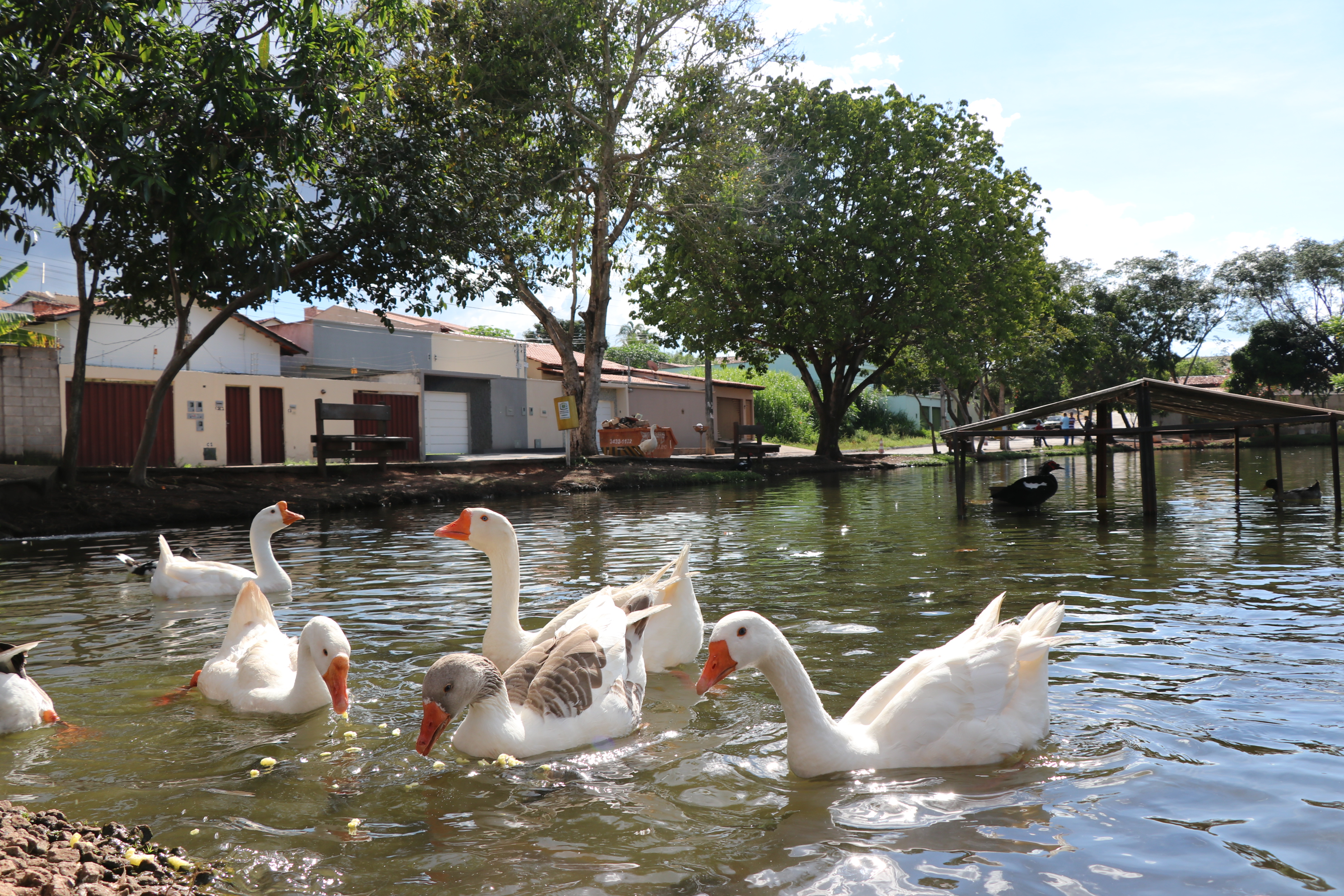 Foto Francisco Carvalho (162).JPG