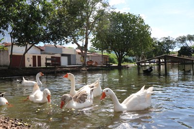 Foto Francisco Carvalho (162).JPG
