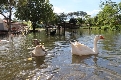Foto Francisco Carvalho (163).JPG