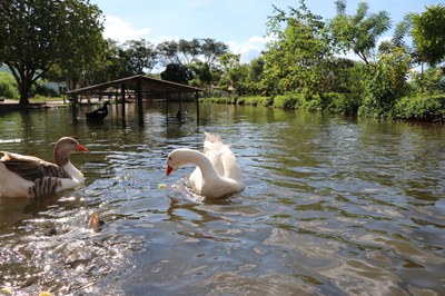 Foto Francisco Carvalho (164).JPG