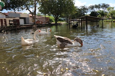 Foto Francisco Carvalho (165).JPG