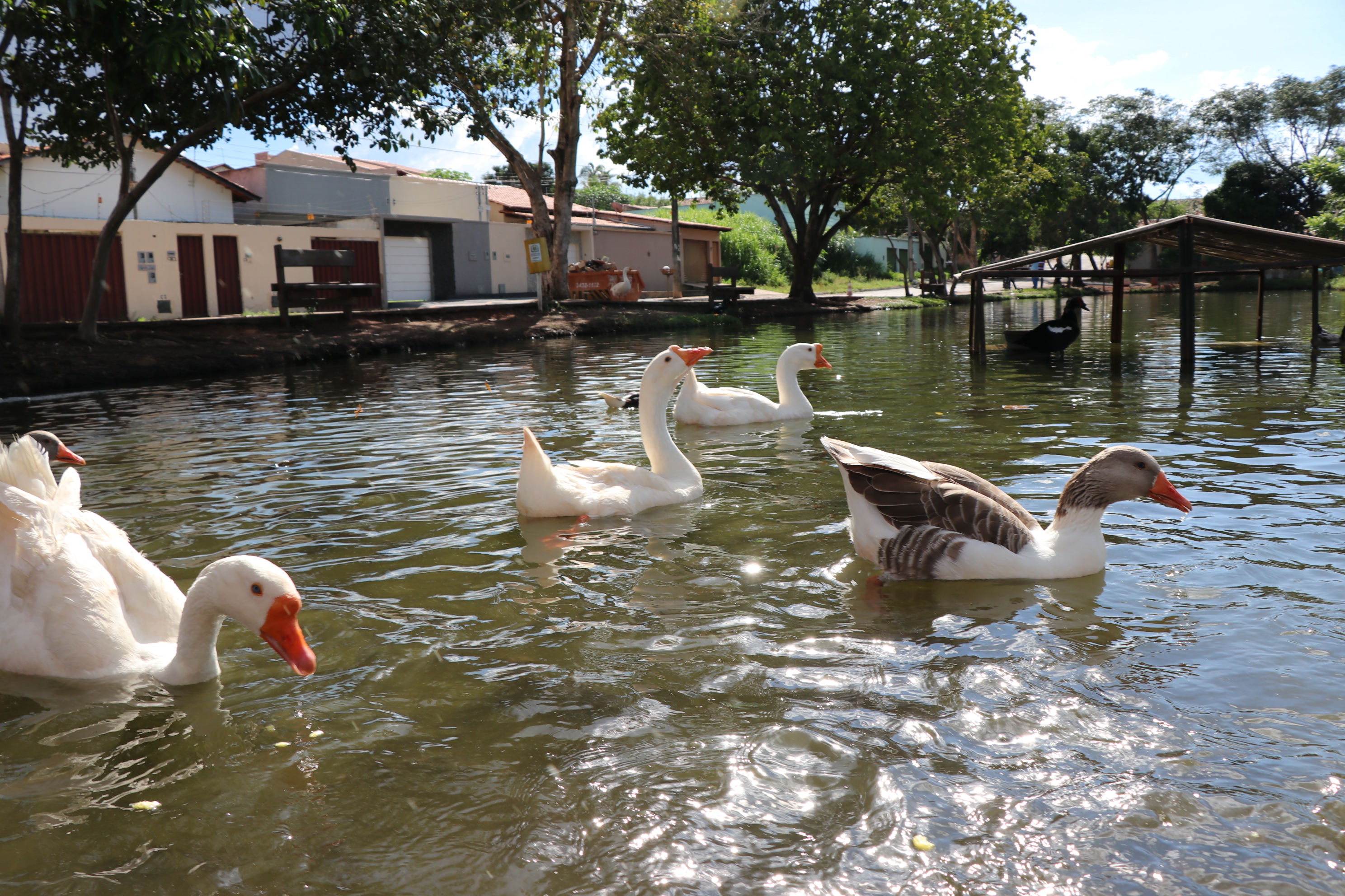 Foto Francisco Carvalho (166).JPG