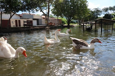 Foto Francisco Carvalho (166).JPG