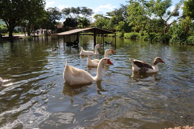 Foto Francisco Carvalho (167).JPG