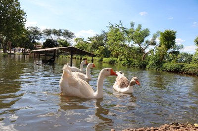 Foto Francisco Carvalho (168).JPG